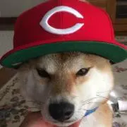 tomoking