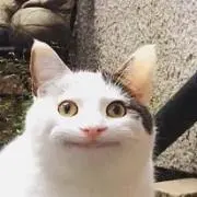 波心地