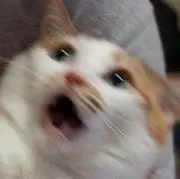 にに
