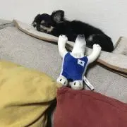 まめ
