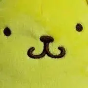 カルガモ【全て匿名発送】の画像