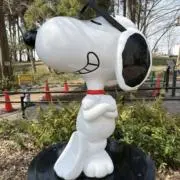 ゆっぴの画像