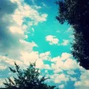 ゆンちゃんプロフ必読