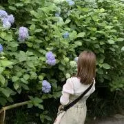 しろみの画像