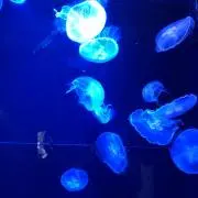✼断捨離中✼