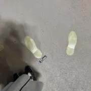 みぷの画像