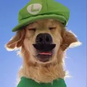 断捨離の画像