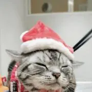 しんじんGの画像