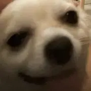 もぁー