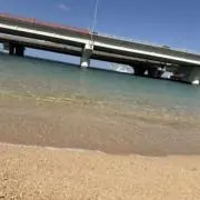 Nomuの画像