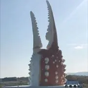 ちにゃこの画像