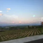 ランランの画像