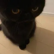 限界受験生の画像