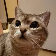 KAZUYAの画像