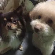 ruun\✡/ プロフィール確認必須
