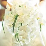 ララ❤️SALL開催中❤️の画像