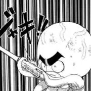 イカの画像