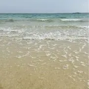 ぽの画像