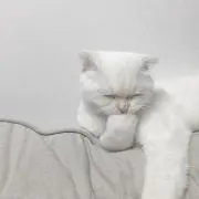 r♡の画像