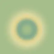 みょんみょん