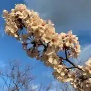 みみみ 価格相談お気軽に❣️の画像