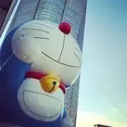 Yzomomの画像