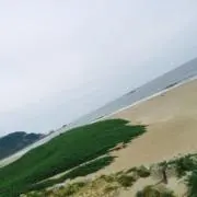 SHIMAの画像