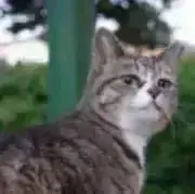プロフィール確認お願いしますの画像