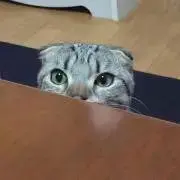 みちゃ