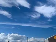 Naramaの画像