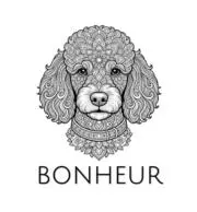 bonheur_xtoolの画像
