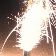 とれもんの画像