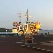 たいの画像