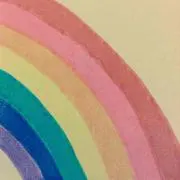 かぼちゃの画像