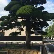 Aaaaa