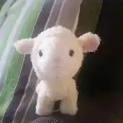 クラリの画像