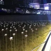 rの画像