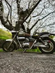Jods 671