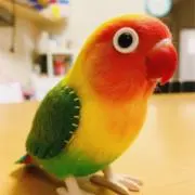 Pの画像