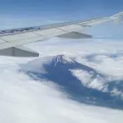Yの画像