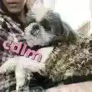 cdlm☆の画像