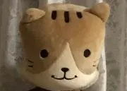 ぴあのん　購入前にプロフ必読の画像