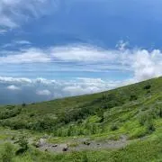 M Kの画像