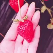 ☆たっくんママ☆の画像