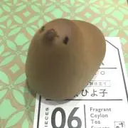 なすかの画像
