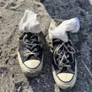 名前はまだない