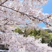あっこの画像