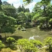 YKの画像