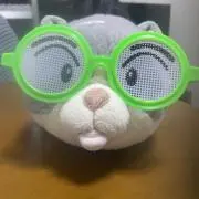 ゆっちゃんの画像