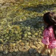 まる子の画像
